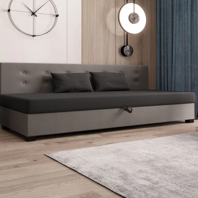 Jednolůžková postel 90x195 AJKA BIZ 2 - šedá / světle šedá