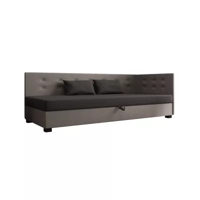 Jednolůžková postel 100x195 AJKA PLUS 1 - šedá / světle šedá