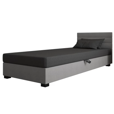 Čalouněná postel 120x195 KASANDRA 2 s úložným prostorem - šedá / světle šedá