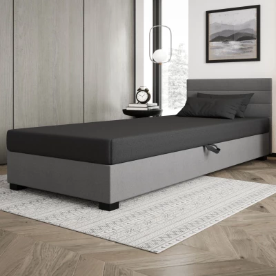 Čalouněná postel 120x195 KASANDRA 2 s úložným prostorem - šedá / světle šedá