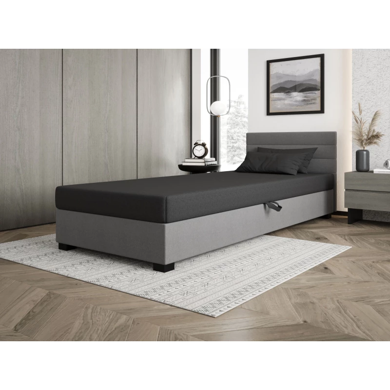 Čalouněná postel 120x195 KASANDRA 2 s úložným prostorem - šedá / světle šedá