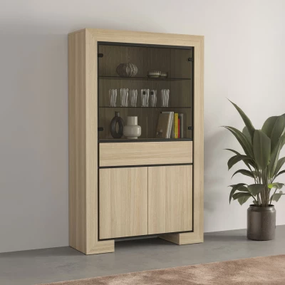 Prosklená vitrína DASI - dub / černá