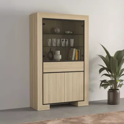 Prosklená vitrína DASI - dub / černá