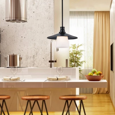 Závěsné loftové osvětlení LOFT - 1xE27, 60W, černé