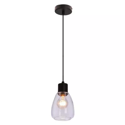 Moderní závěsné osvětlení MOLDO - 1xE27, 40W, černá / čiré sklo