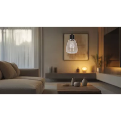 Moderní závěsné osvětlení MOLDO - 1xE27, 40W, černá / čiré sklo