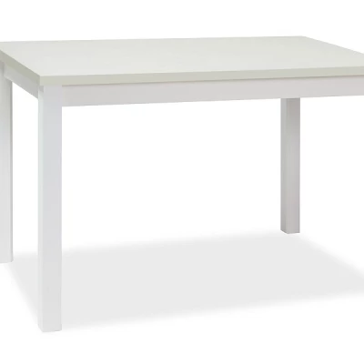 Rozkládací jídelní stůl 100(140)x60 ANTHONY - bílý