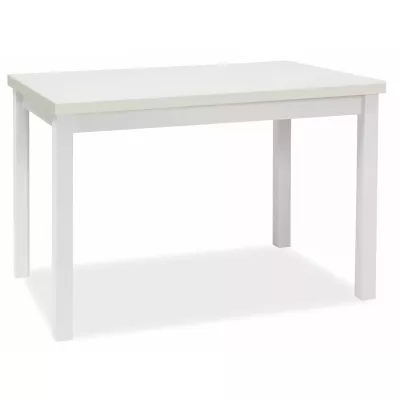 Jídelní stůl ANTHONY - bílý