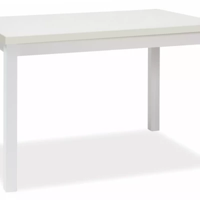 Rozkládací jídelní stůl 120(160)x68 ANTHONY - bílý