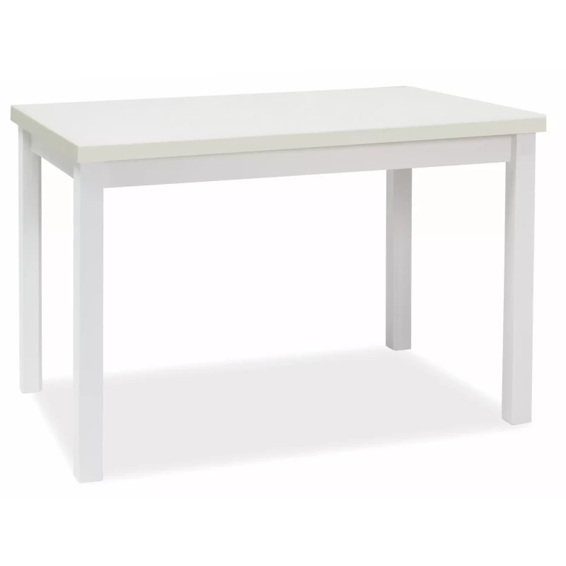 Rozkládací jídelní stůl 120(160)x68 ANTHONY - bílý