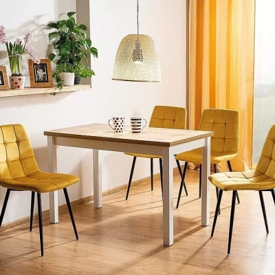 Rozkládací jídelní stůl 120(160)x68 ANTHONY - dub lancelot / bílý