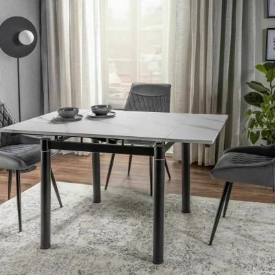 Čalouněná jídelní židle MAELIE - šedá / černá