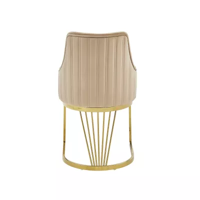 Designová jídelní židle VALBURKA - béžová / zlatá
