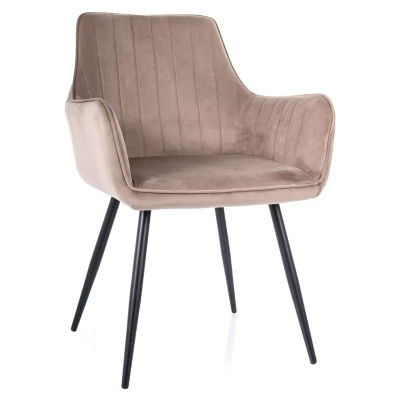 Čalouněná jídelní židle VANGELI - béžová / černá