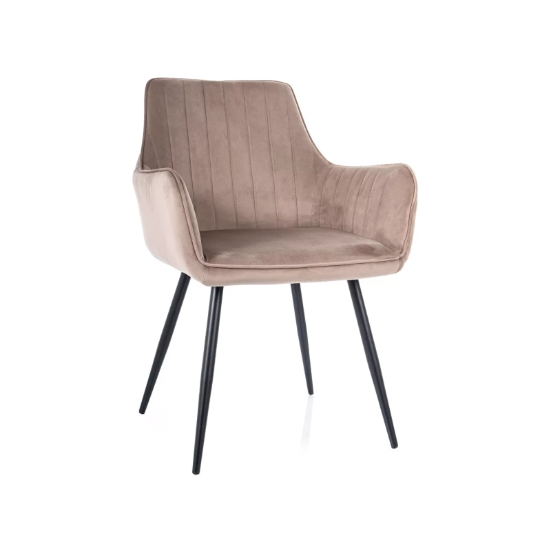 Čalouněná jídelní židle VANGELI - béžová / černá