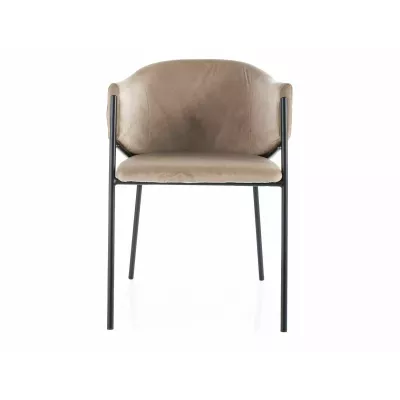 Elegantní jídelní židle TERESIE - béžová / černá