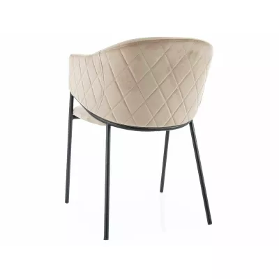 Elegantní jídelní židle TERESIE - béžová / černá