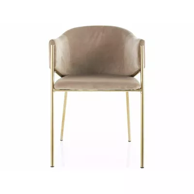 Elegantní jídelní židle TERESIE - béžová / zlatá