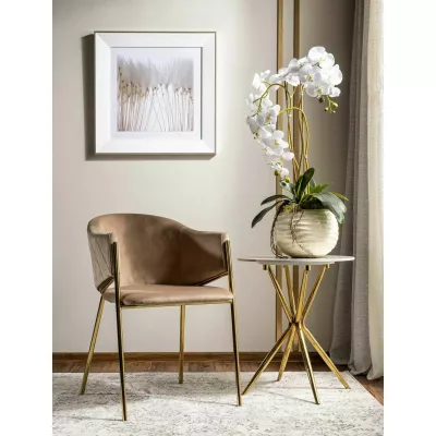 Elegantní jídelní židle TERESIE - béžová / zlatá