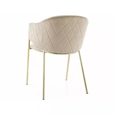 Elegantní jídelní židle TERESIE - béžová / zlatá