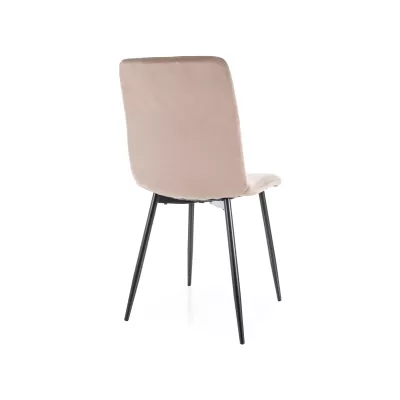 Jídelní židle DOMINICA - béžová / černá