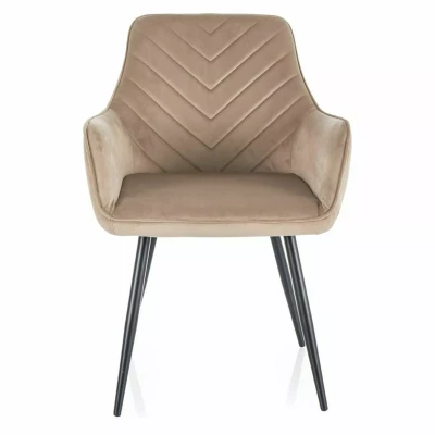 Čalouněná jídelní židle DORKAS - béžová / černá