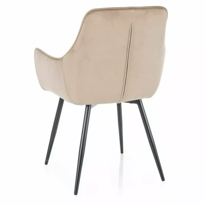 Čalouněná jídelní židle DORKAS - béžová / černá