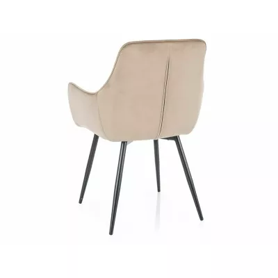 Čalouněná jídelní židle DORKAS - béžová / černá