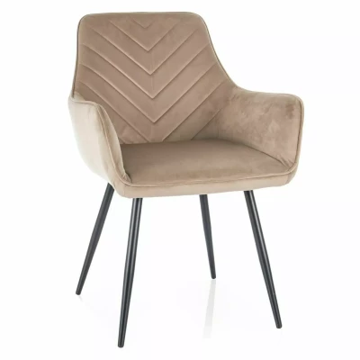 Čalouněná jídelní židle DORKAS - béžová / černá