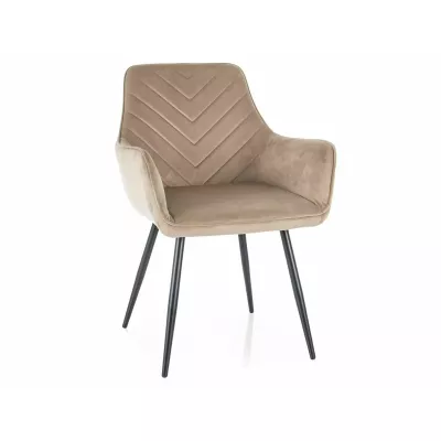 Čalouněná jídelní židle DORKAS - béžová / černá