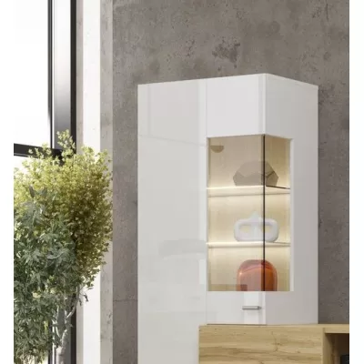 Obývací stěna NIKOL - bílý / bílý lesk / wotan