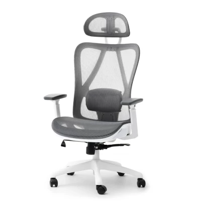 Kancelářská židle DELMY - šedá / bílá