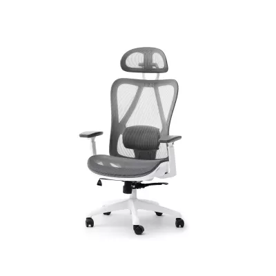 Kancelářská židle DELMY - šedá / bílá