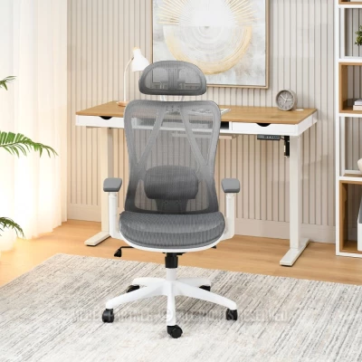 Kancelářská židle DELMY - šedá / bílá