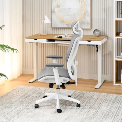 Kancelářská židle DELMY - šedá / bílá