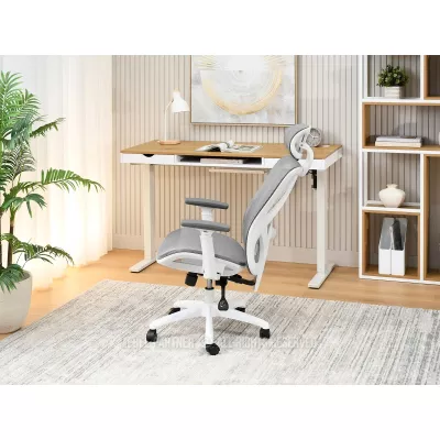 Kancelářská židle DELMY - šedá / bílá