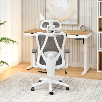 Kancelářská židle DELMY - šedá / bílá