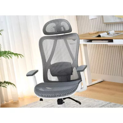 Kancelářská židle DELMY - šedá / bílá