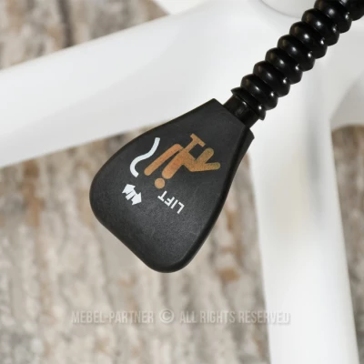 Kancelářská židle DELMY - šedá / bílá