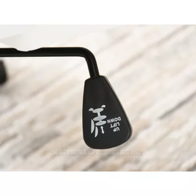 Kancelářská židle DELMY - šedá / bílá