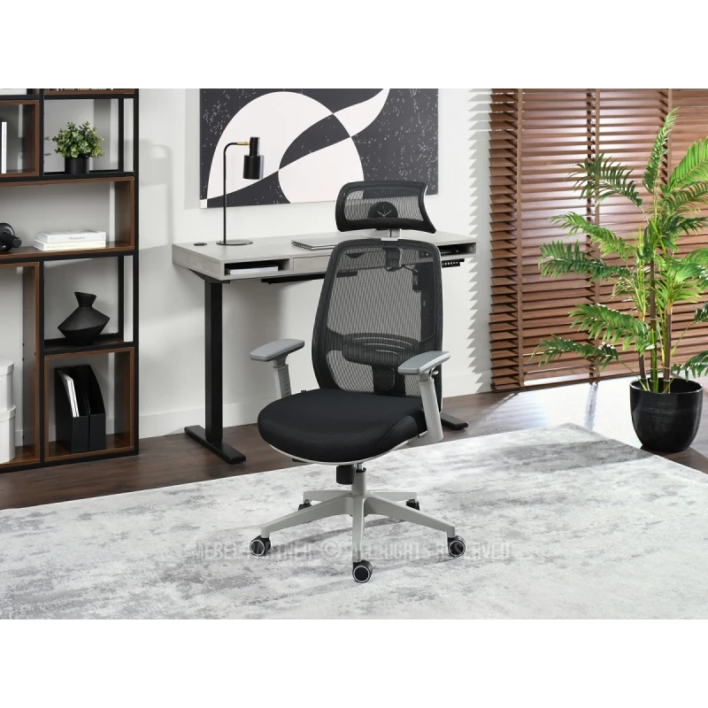 Kancelářská židle LUJZA - černá / šedá