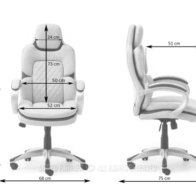 Manažerské křeslo BEATUS - béžové / hnědé