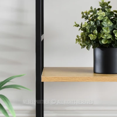 Úzký regál s dvířky ELIGIO - dub / černý