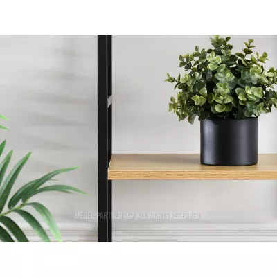 Úzký regál s dvířky ELIGIO - dub / černý