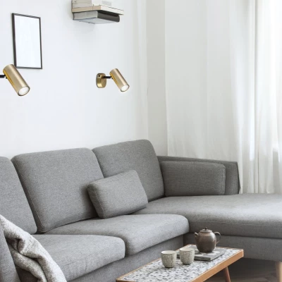 Nástěnné bodové svítidlo COLLY - 1xGU10, 15W, mosazné