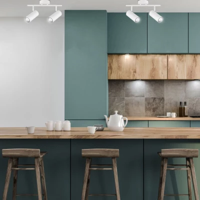 Stropní bodové svítidlo COLLY - 2xGU10, 15W, bílé