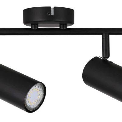 Stropní bodové svítidlo COLLY - 2xGU10, 15W, černé