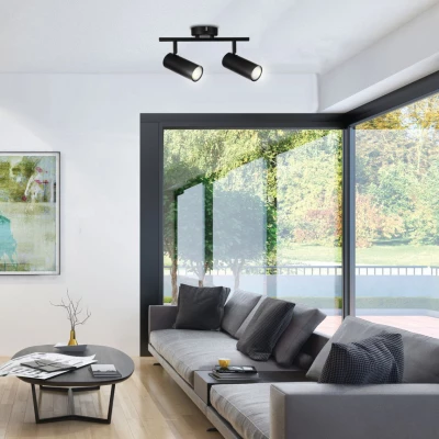 Stropní bodové svítidlo COLLY - 2xGU10, 15W, černé