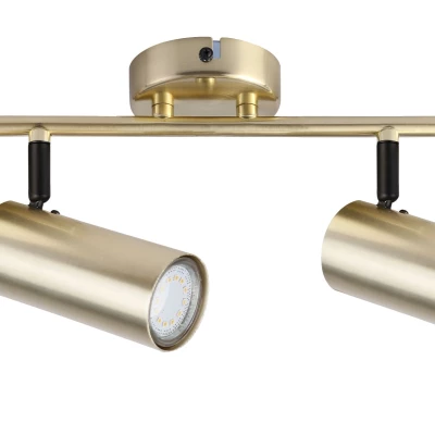 Stropní bodové svítidlo COLLY - 2xGU10, 15W, mosazné