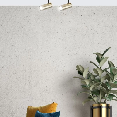 Stropní bodové svítidlo COLLY - 2xGU10, 15W, mosazné